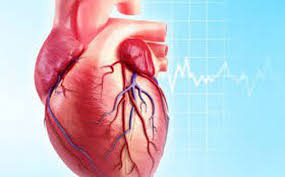 ĐTHT tăng cường sức khỏe tim mạch